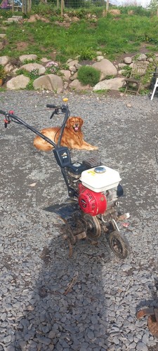 Rotavator petrol honda engine - honda,